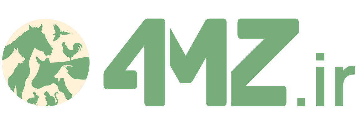 4mz logo